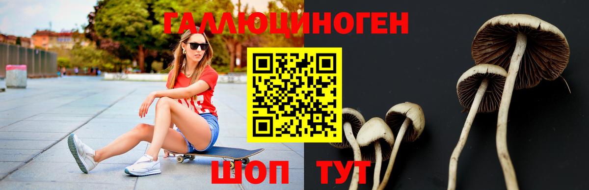 Когалым  Псилоцибиновые грибы GOLDEN TEACHER  Галлюциногенные грибы мицелий  Вход с VPN 